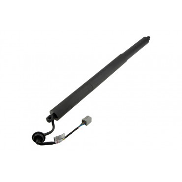 Vérin Hayon De Coffre...