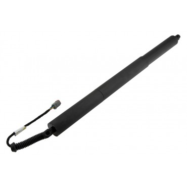 Vérin Hayon De Coffre...