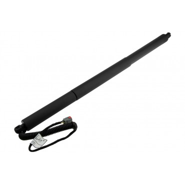 Vérin Hayon De Coffre...