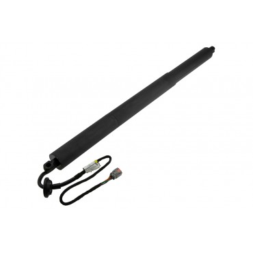 Vérin Hayon De Coffre...