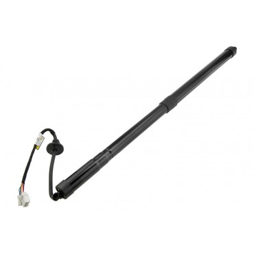 Vérin Hayon De Coffre...