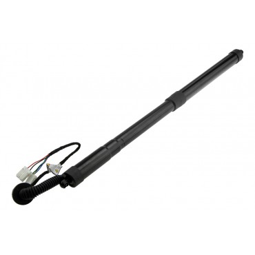 Vérin Hayon De Coffre...