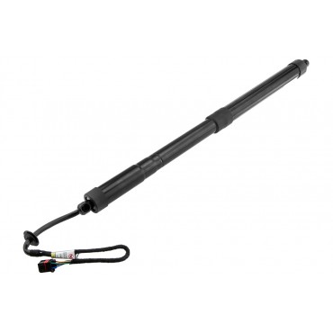 Vérin Hayon De Coffre...