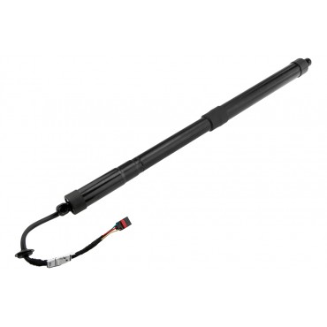 Vérin Hayon De Coffre...