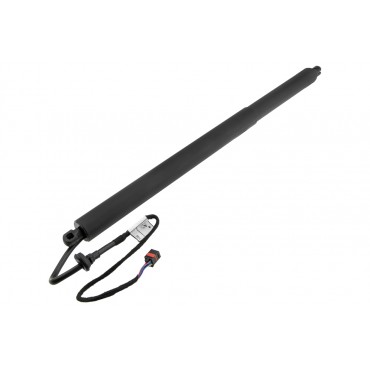 Vérin Hayon De Coffre...