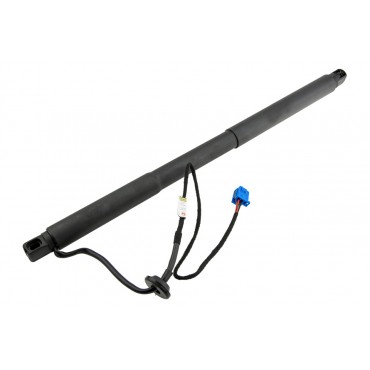 Vérin Hayon De Coffre...