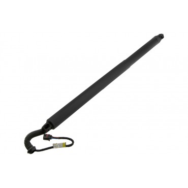 Vérin Hayon De Coffre...