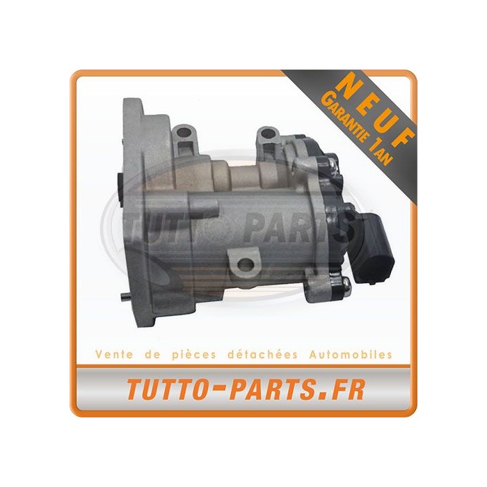 Vanne EGR Ford Focus Mondeo