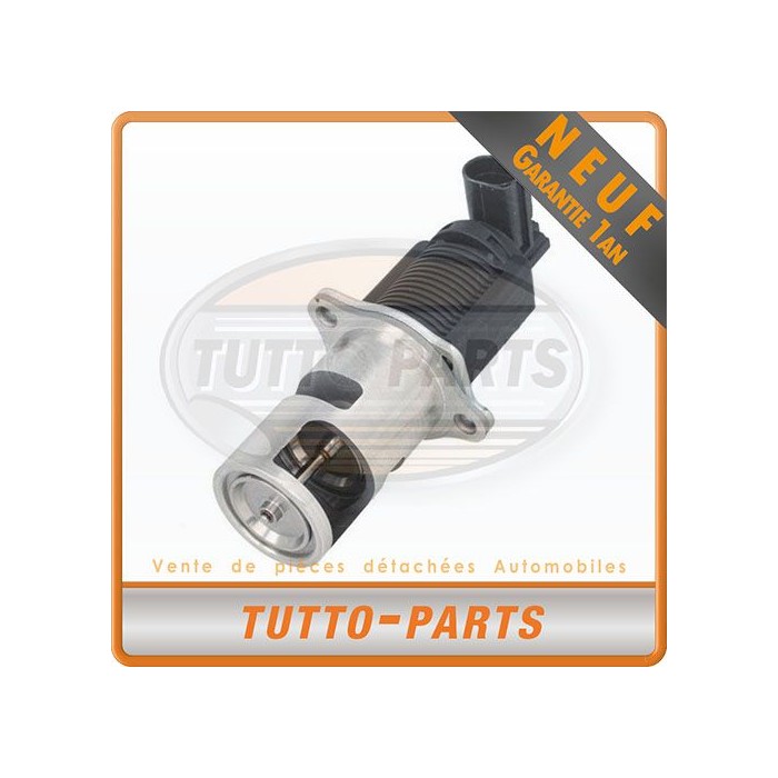 Vanne EGR Renault Laguna Master Trafic