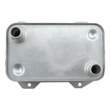 Refroidisseur d'Huile Moteur Pour AUDI R8 4.2 FSI 5.2 FSI 2010-2015 420117022A