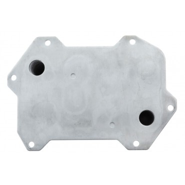 Refroidisseur d'Huile Moteur Pour AUDI R8 4.2 FSI 5.2 FSI 2010-2015 420117022A