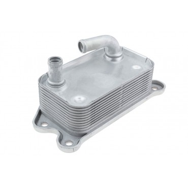 Refroidisseur d'Huile Moteur Pour Ford Focus Kuga Mondeo S40 C70 C30 6G9N6A642BA