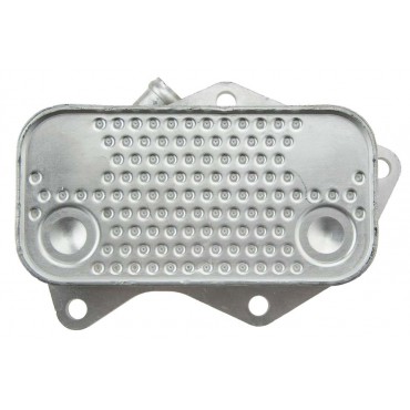 Refroidisseur d'Huile Moteur Pour Vw Jetta New Beetle 2.5 07K117021B 07K117021C