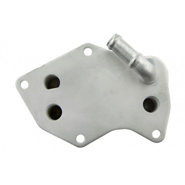 Refroidisseur d'Huile Moteur Pour Vw Jetta New Beetle 2.5 07K117021B 07K117021C