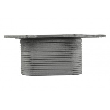 Radiateur Refroidisseur d'Huile Pour Audi A4 A6 A8 Q7 Vw Touareg 059117021F