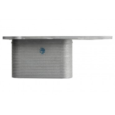 Radiateur Refroidisseur d'Huile Pour Bmw Série 3 4 5 6 7 X3 X4 X5 11428510855