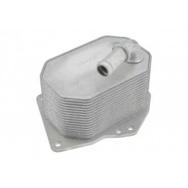 Radiateur Refroidisseur d'Huile Pour Ford Ranger 3.2 2.2 TDCi 1721337 1746665