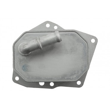 Radiateur Refroidisseur d'Huile Pour Ford Ranger 3.2 2.2 TDCi 1721337 1746665