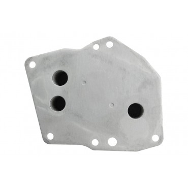 Radiateur Refroidisseur d'Huile Pour Ford Ranger 3.2 2.2 TDCi 1721337 1746665