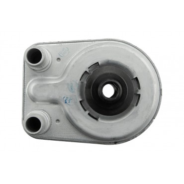 Radiateur Refroidisseur d'Huile Pour Doblo Palio Punto Strada 1.9 D/JTD 55191707