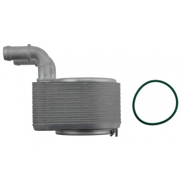 Radiateur Refroidisseur d'Huile Pour Grand Scénic III Megane Cc 1.4 213050003R