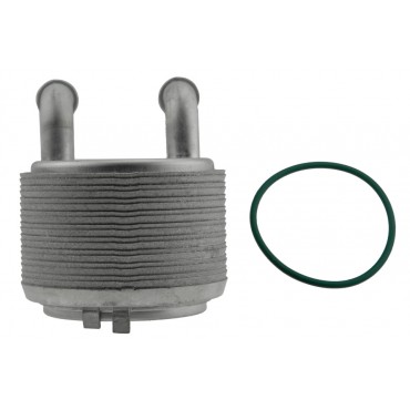Radiateur Refroidisseur d'Huile Pour Grand Scénic III Megane Cc 1.4 213050003R