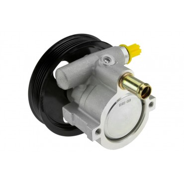 Pompe de Direction Assistée Pour Clio II Kangoo Megane I Scénic I 7700431286