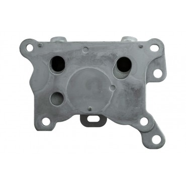 Radiateur d'huile Refroidisseur Pour Renault Scénic IV Megane IV 1.3 213055917R