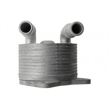 Radiateur d'huile Refroidisseur Pour Volvo S60 II V40 V60 I V70 III 2.0 31437314