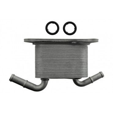 Radiateur Refroidisseur d'Huile de Boite Auto Pour Micra C+C III 21606-3JX0B