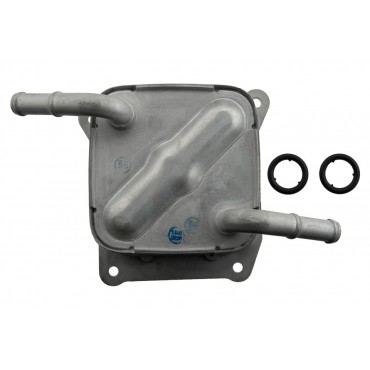 Radiateur Refroidisseur d'Huile de Boite Auto Pour Micra C+C III 21606-3JX0B