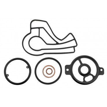 Kit Joints Radiateur d'Huile Refroidisseur Pour Vw Crafter Lt 2.5 TDI 074115405T