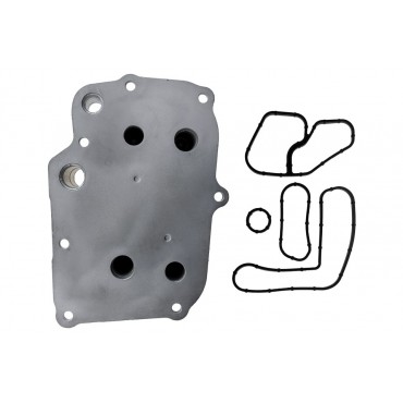 Radiateur Refroidisseur d'Huile Moteur Pour Ssangyong Actyon Korando 6711800265