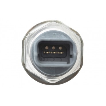 Capteur de Pression Carburant Pour Renault Scénic Megane Kangoo 166380176R