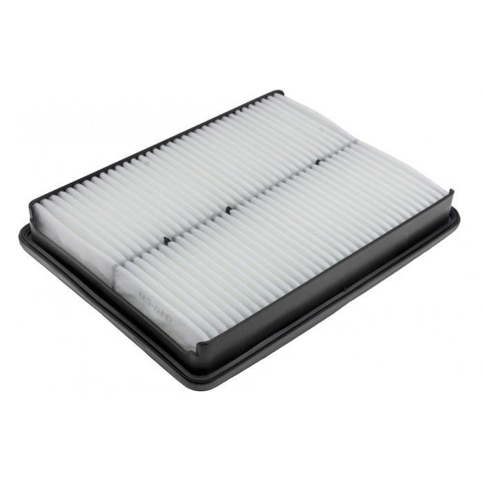 Filtre à Air Pour Hyundai Santa Fé II III Kia Sorento II 2.4 GDI 281132W100