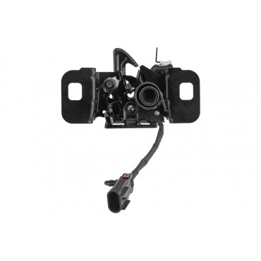 Serrure Deverrouillage Du Capot Pour Chevrolet Captiva 20937956