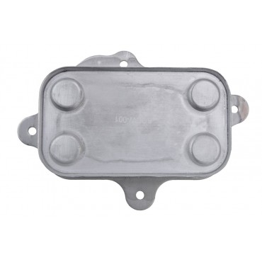 Radiateur Refroidisseur d'Huile Pour Ssangyong Actyon Korando Kyron 6641800265