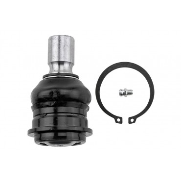 Rotule de Suspension Arrière Inférieur Pour Nissan Pathfinder III 551A01LA0A