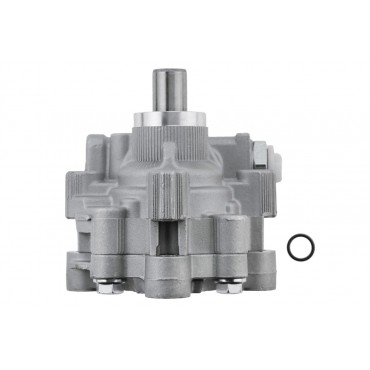 Pompe de Direction Assistée Pour Chrysler 300C Dodge Magnum Charger 4782523AC