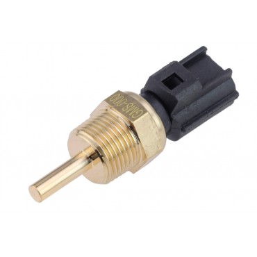 Sonde Temperature d'Eau Pour Citroën C-Crosser Hyundai Xg Sonata IV 1338G4