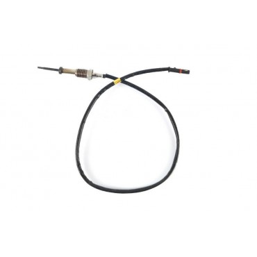 Sonde température gaz BMW...