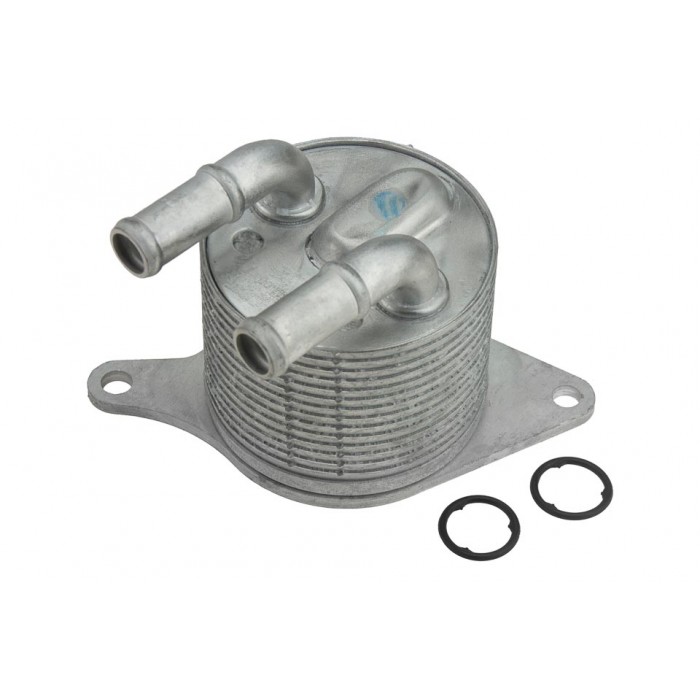 Radiateur Refroidisseur d'Huile Pour Bmw Série 1 2 X1 X2 Mini 24148699905