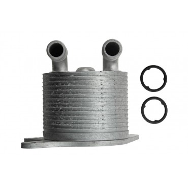 Radiateur Refroidisseur d'Huile Pour Bmw Série 1 2 X1 X2 Mini 24148699905