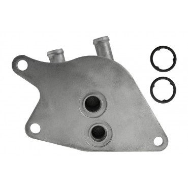 Radiateur Refroidisseur d'Huile Pour Bmw Série 1 2 X1 X2 Mini 24148699905