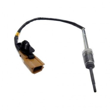 Sonde température gaz...