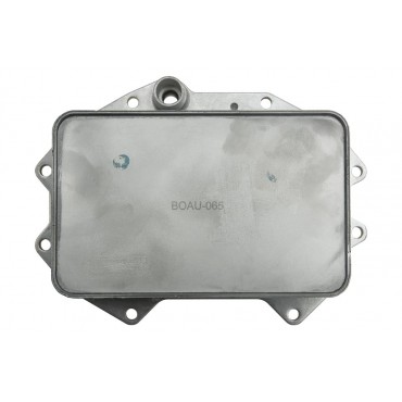 Radiateur d'Huile Pour Audi A4 A5 A6 A7 A8 Q5 Q7 Q8 Vw Touareg 06M117015M