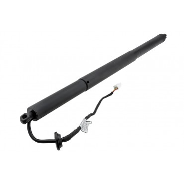 Vérin Hayon de Coffre Droit Pour Tesla Model X 2015-2023