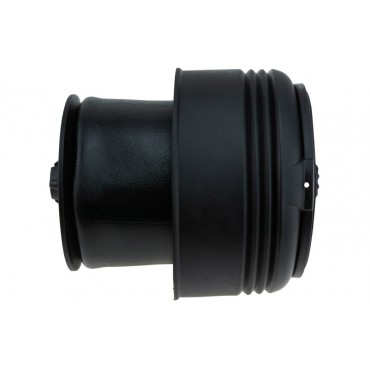 Amortisseur Pneumatique Arrière Pour Bmw X5 X6 37126795013 6795013