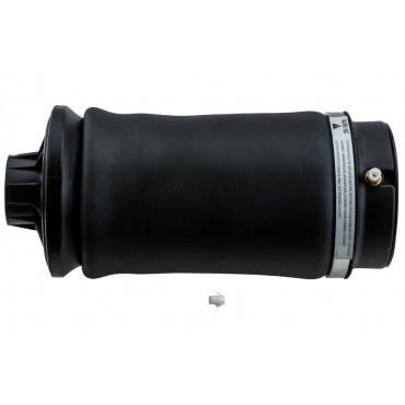 Amortisseur Pneumatique Arrière Pour Mercedes Classe Gl M Gle Gls A1643200425