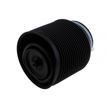 Amortisseur Pneumatique Arrière Gauche Pour Toyota Land Cruiser Prado 4808035010